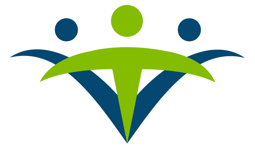 Official Netsmart Logo
